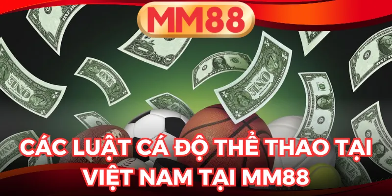 luật cá độ thể thao tại Việt Nam